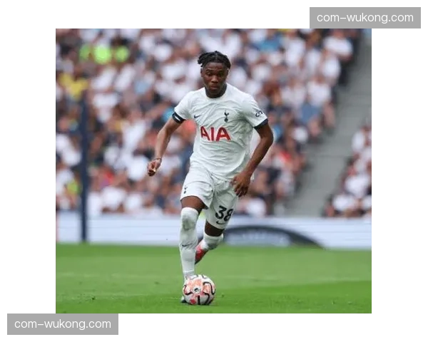 热刺贝里瓦尔乌多吉状态非最佳 可能为周末联赛留力